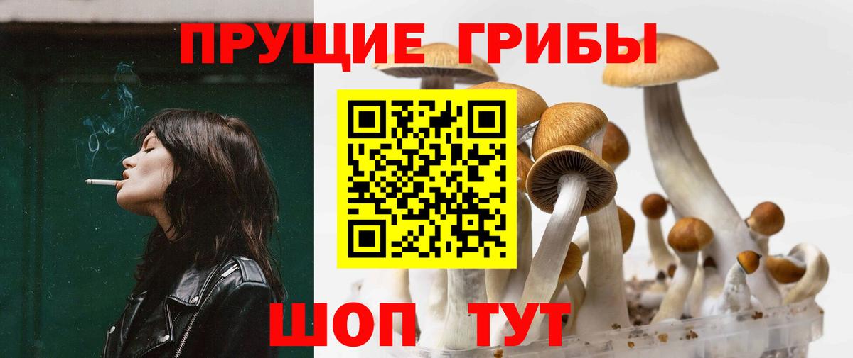 Отрадный  Псилоцибиновые грибы MAGIC MUSHROOMS  Вход с VPN 